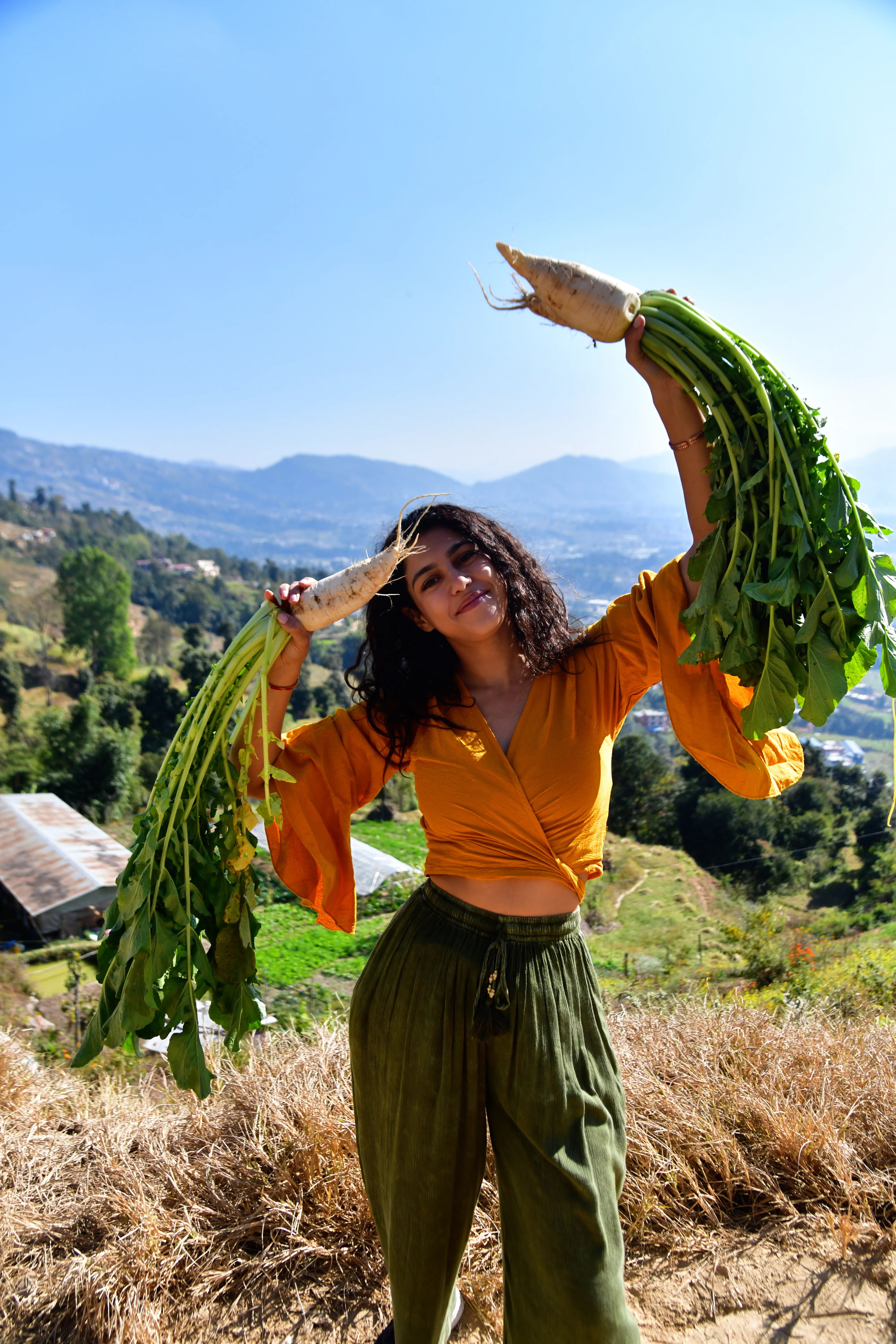 Ingrédients et outils ayurvédiques naturels disposés avec soin.